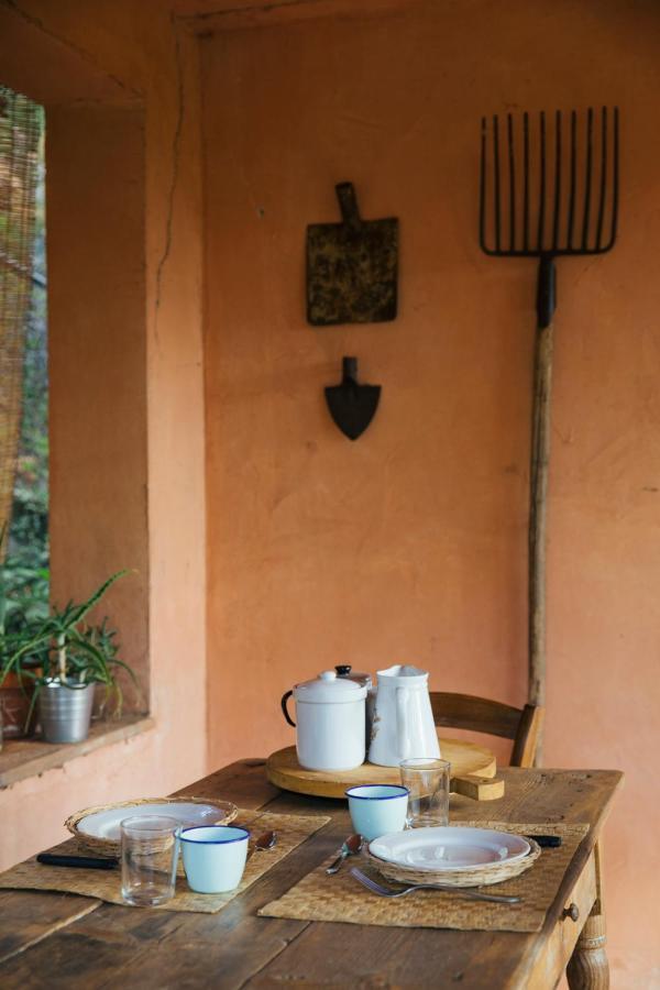 Studio/Flat Rustic Tuscan Marziani 2 كابانّوري المظهر الخارجي الصورة