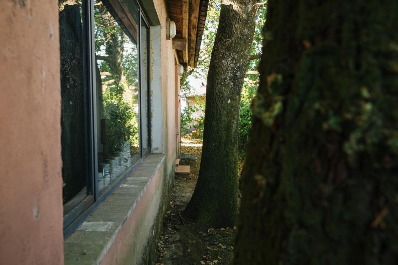 Studio/Flat Rustic Tuscan Marziani 2 كابانّوري المظهر الخارجي الصورة